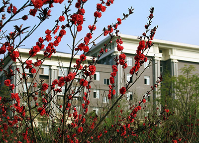 重慶科創職業學院 重慶科創職業學院