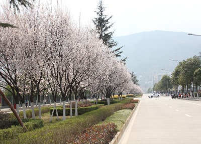 四川省廣元市職業高級中學校 四川省廣元市職業高級中學校