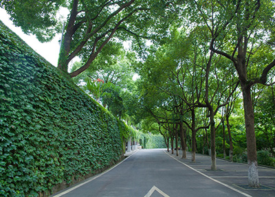 四川省廣元市職業(yè)高級(jí)中學(xué)校