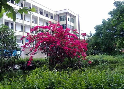 資陽口腔職業學院 資陽口腔職業學院
