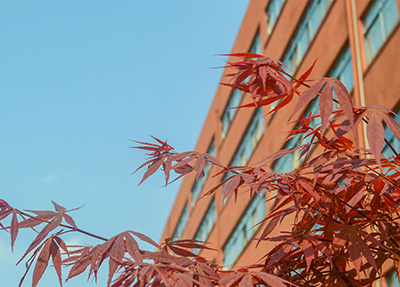 重慶市城市建設技工學校 重慶市城市建設技工學校