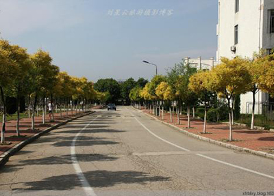 重慶公共運(yùn)輸職業(yè)學(xué)院 重慶公共運(yùn)輸職業(yè)學(xué)院
