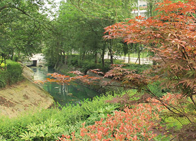 南充師范學(xué)校