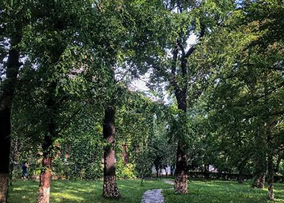 綿陽市藝術學校