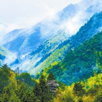 森林資源保護專業