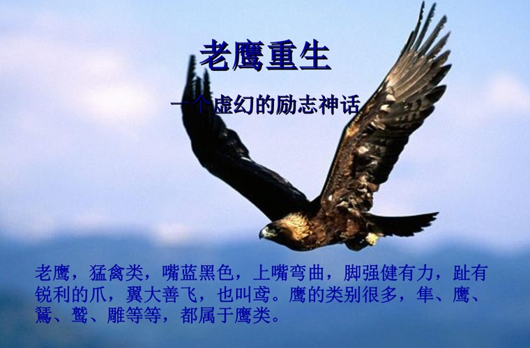 吳忠藝術設計學校