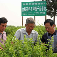 中草藥種植專業