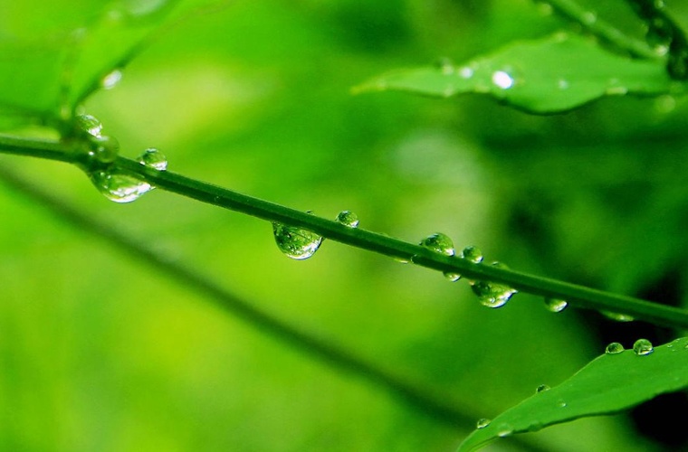 羅甸縣中等職業學校
