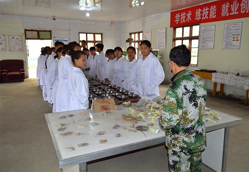 貴陽行知科技職業學校（修文國防學校）