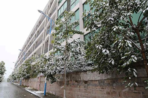 重慶市榮昌區職業教育中心圖片、照片