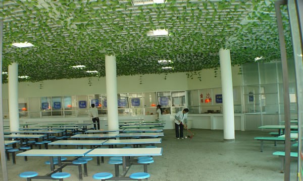 貴州省財政學校食堂環(huán)境