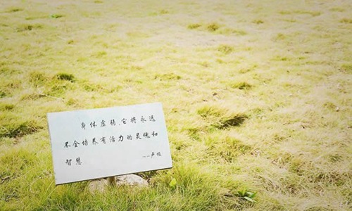 重慶應(yīng)用技術(shù)職業(yè)學(xué)院草地