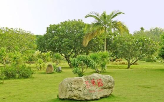 西雙版納職業技術學院