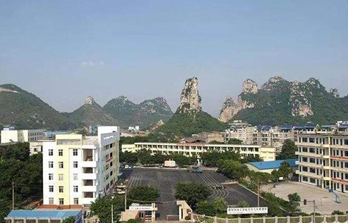 廣西壯族自治區柳州化工技工學校
