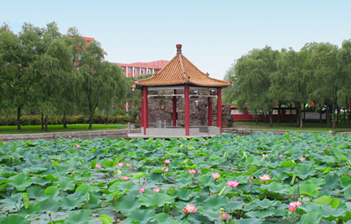 臨夏衛生學校
