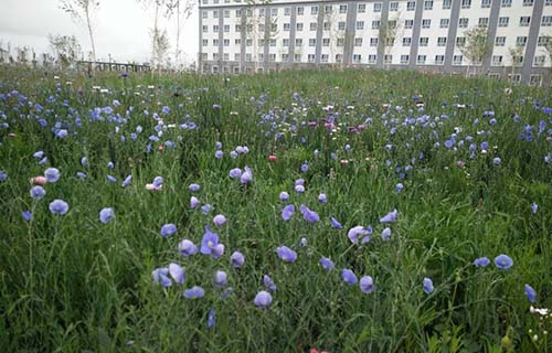 沂南縣職業教育學校
