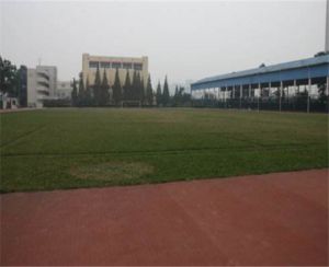成都市體育運動學校?怎么樣？