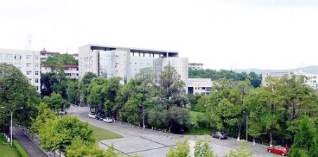 四川幼兒師范高等?？茖W(xué)校專業(yè)有哪些