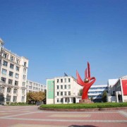 萊西成人中等專業學校