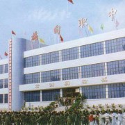 施甸縣職業高級中學