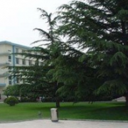 蘭州城關職業(yè)技術(shù)學校