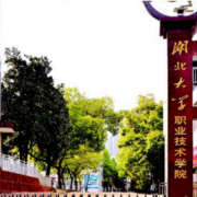 湖北旅游學校