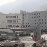 武都職業中學