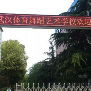 武漢體育舞蹈藝術學校
