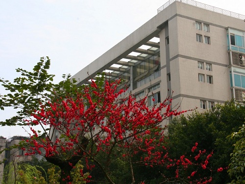 重慶電力高等專科學校