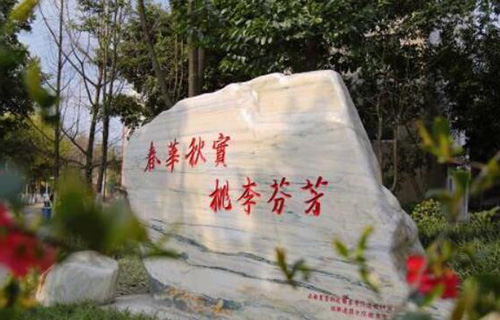 臨渭區農業技術學校