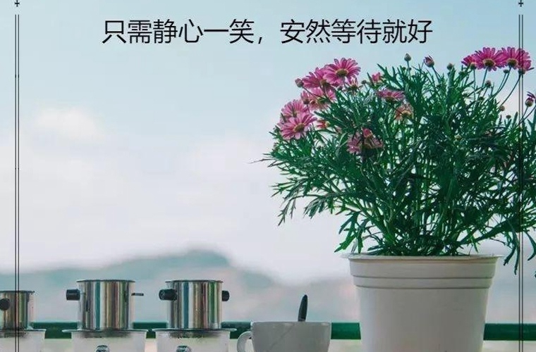 羅山中等職業學校在信陽哪里 學校怎么樣