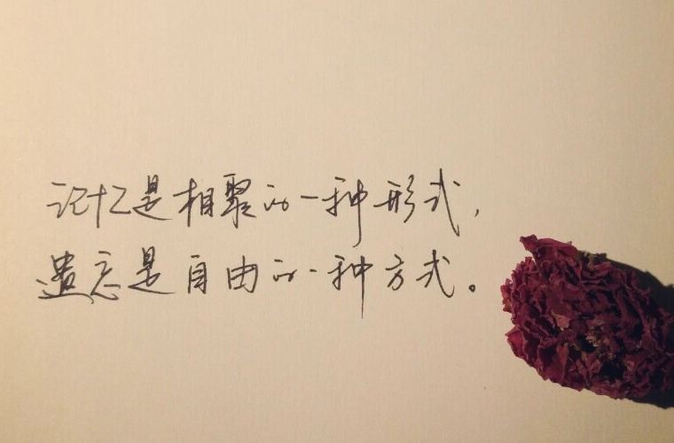 2024新疆公辦中職學(xué)校有哪些