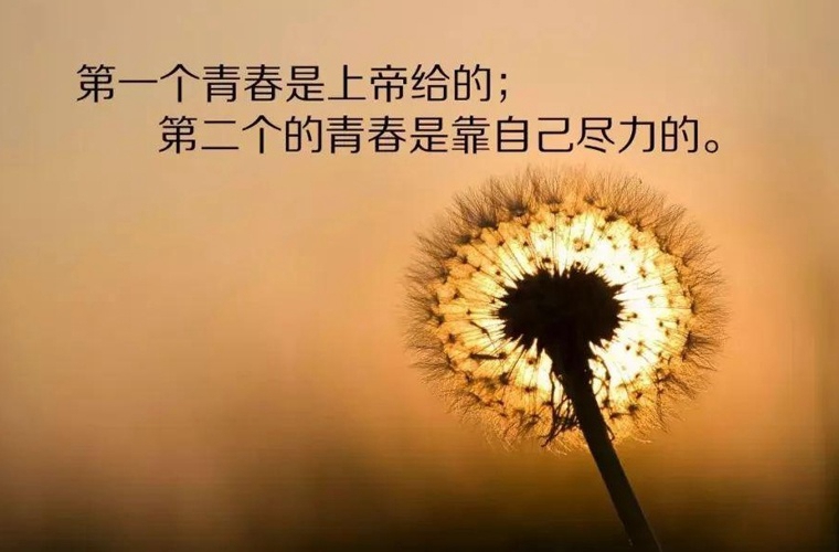 杭州臨安區技工學校2025年報名需要滿足哪些條件