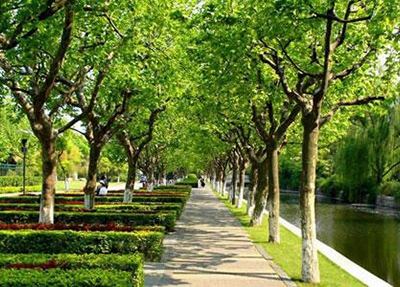 天津建筑材料工業學校怎么樣 口碑好不好