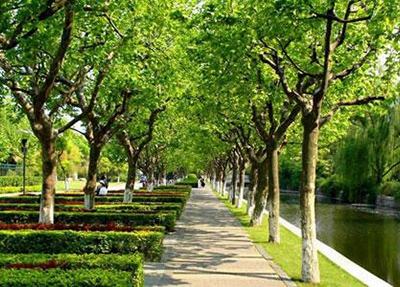 哈爾濱市衛生學校2025年有哪些專業
